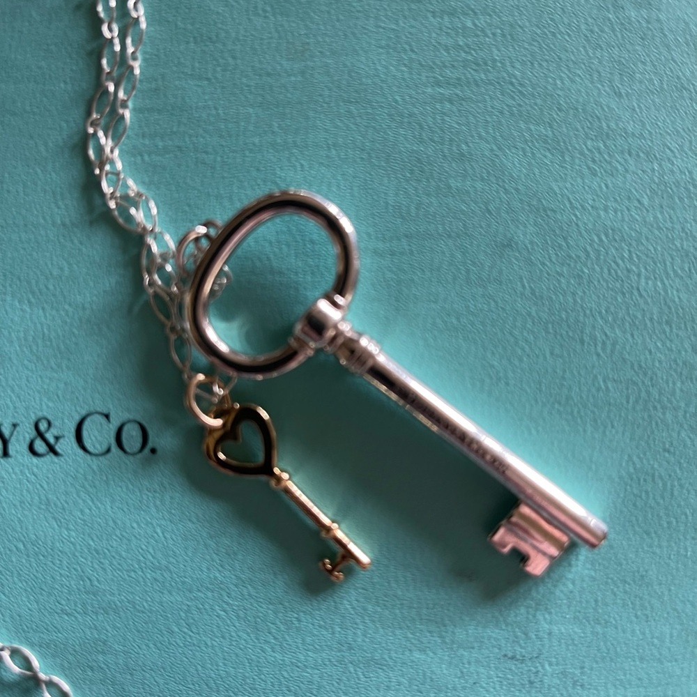 Tiffanyhost Pick Authentic Oval Double Key Neckla… - image 2